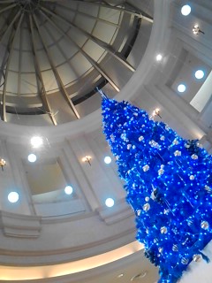 p2010_1130_081212 p2010_1130_081212