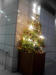 夜は電飾がきらきら☆